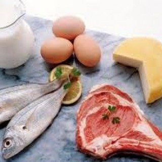 Πρωτεΐνες και Διατροφή