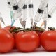 Τροφική δυσανεξία και γενετικά τροποποιημένα τρόφι