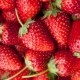 Διατροφικά οφέλη της φράουλας