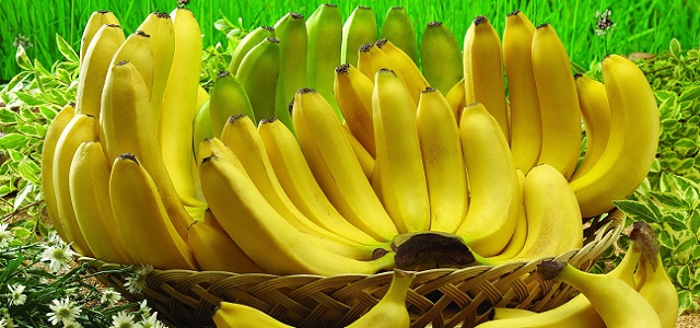 θεραπεία απώλειας βάρους με μπανάνες